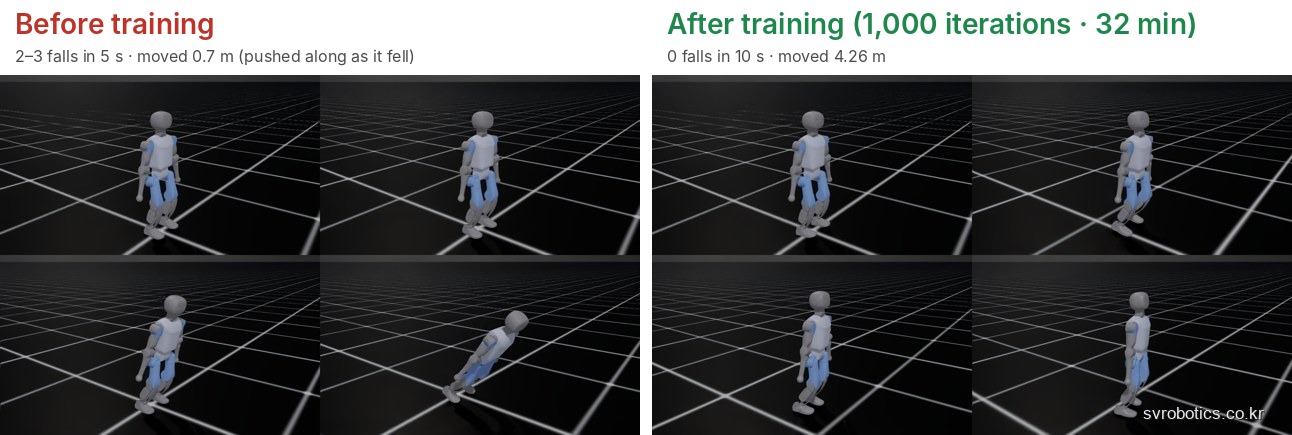 Booster K1 before and after training. On the left, before training (2 to 3 falls in 5 seconds, 0.7m moved), the robot collapses onto the floor. On the right, after training (1,000 iterations, 32 minutes, 0 falls in 10 seconds, 4.26m moved), it stands and walks.