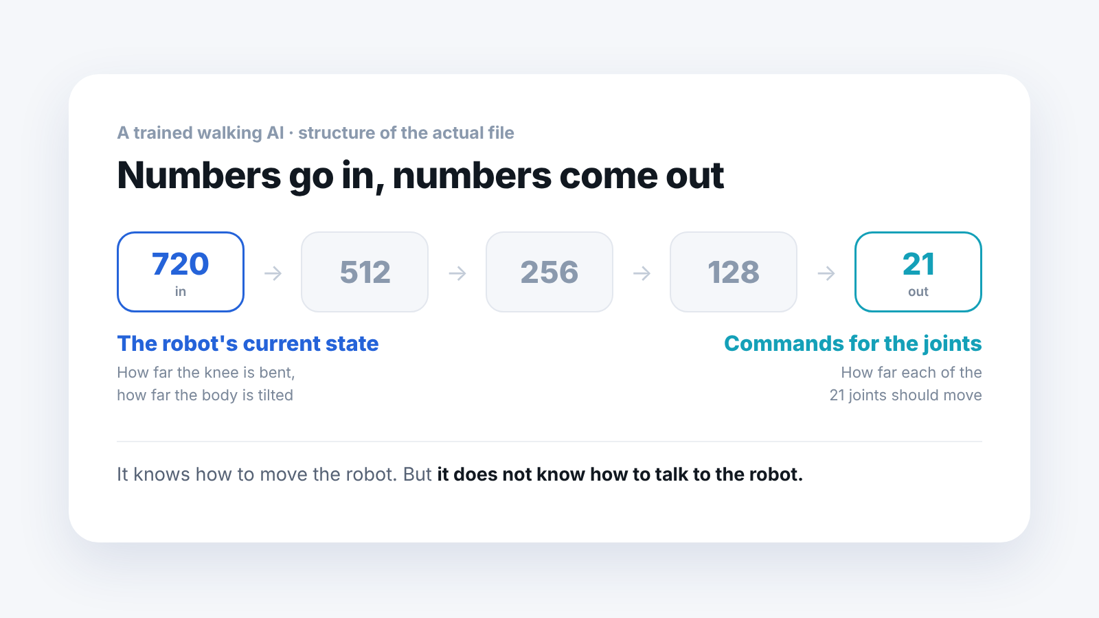 The structure of a trained walking AI. 720 numbers go in, pass through 512, 256 and 128, and come out as 21 joint commands.
